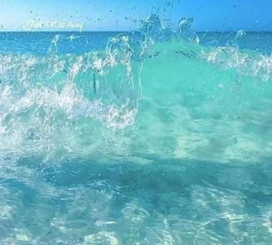 רודה Dolphin Apt & Studios -Next To The Beach מראה חיצוני תמונה